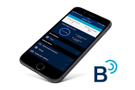Bluelink Connected Car Services