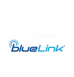 Bluelink